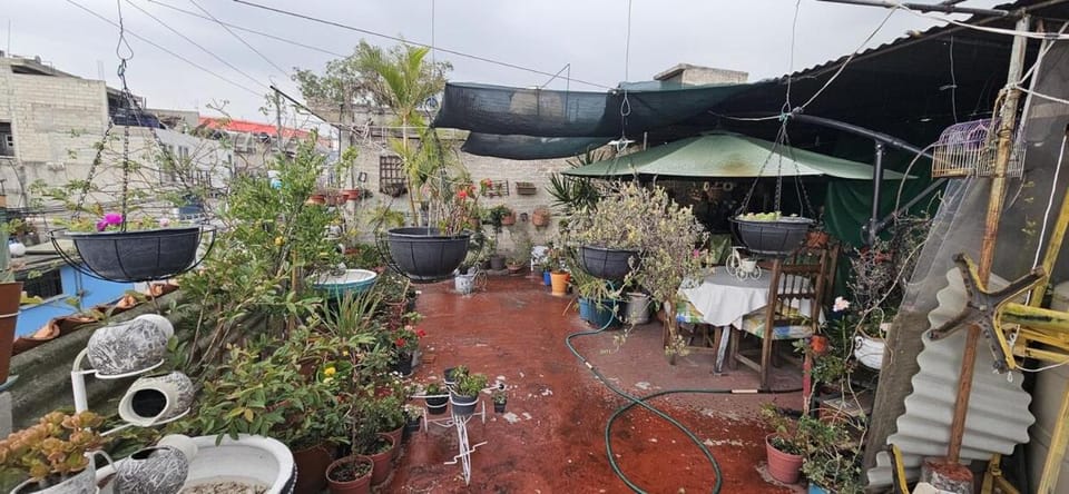 Garden, Garden, Balcony/Terrace
