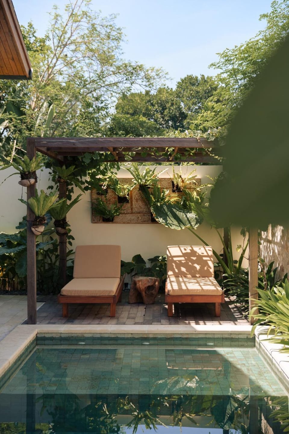 Garden, Swimming pool, sunbed