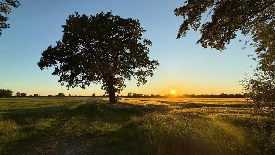 Natural landscape, Sunset
