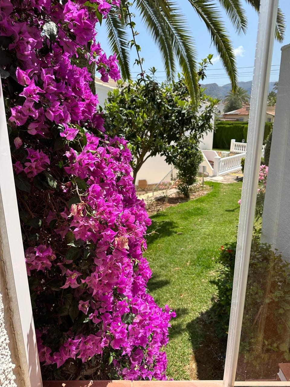 View (from property/room)