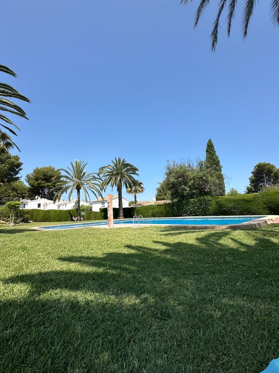Garden, Pool view, Swimming pool