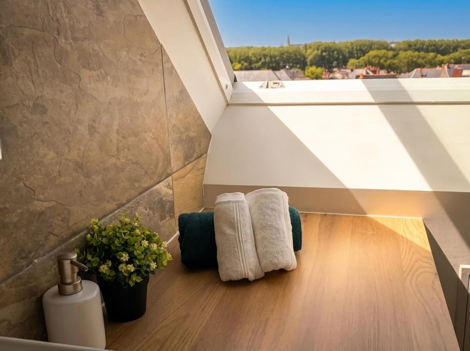 T2 lumineux, hypercentre Angers Apartment in Angers