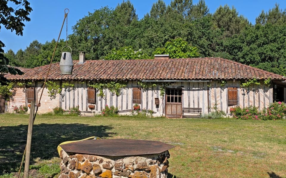 Property building, Garden, Garden, Garden view, Garden view