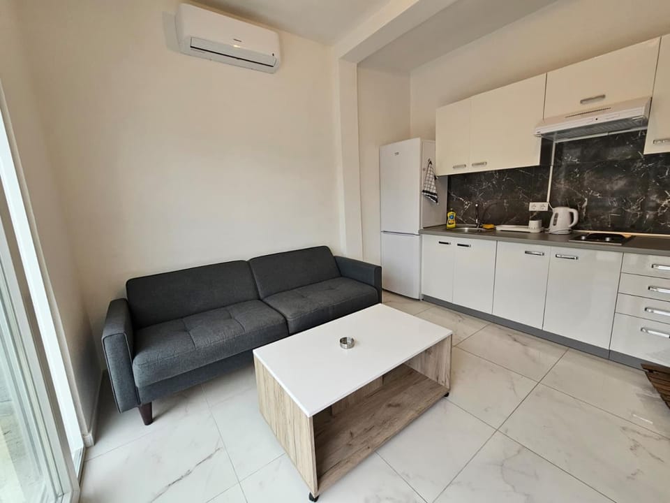 Living room, kitchen