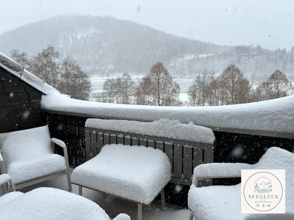 Natural landscape, Winter, View (from property/room), Balcony/Terrace, Lake view, Mountain view