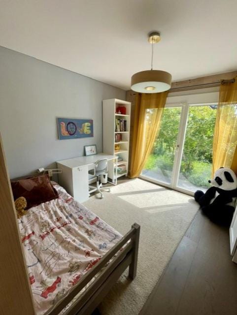 Modern chalet next to Geneva Chalet in Divonne-les-Bains