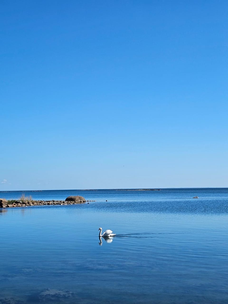 Natural landscape