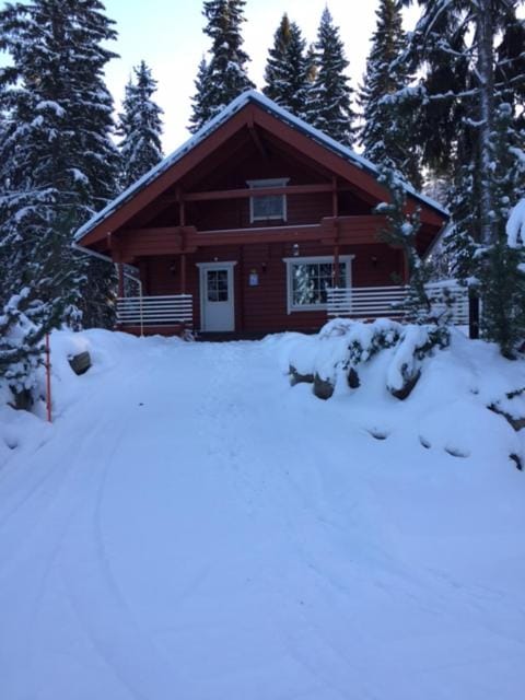Nipasjalonen House in Finland