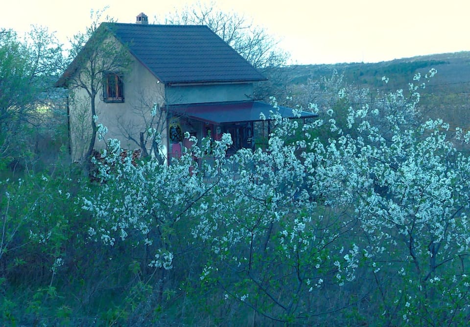Casa Tranquila - peace & retreat House in Moldova