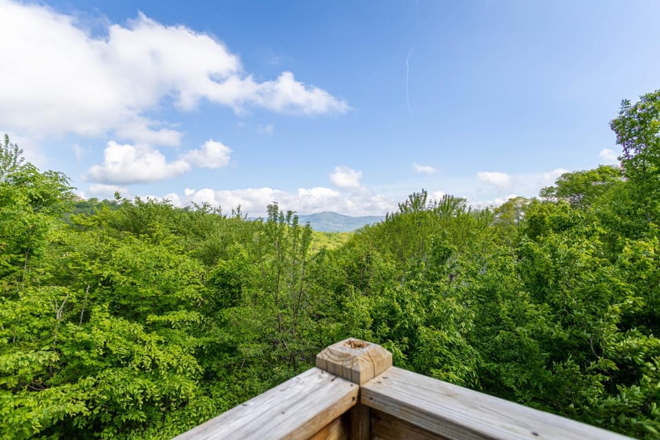 Bearadise Cabin - Pet Friendly Great Views Firepit and Yard on Sugar Mountain 2 Car Garage Cabin in Sugar Mountain