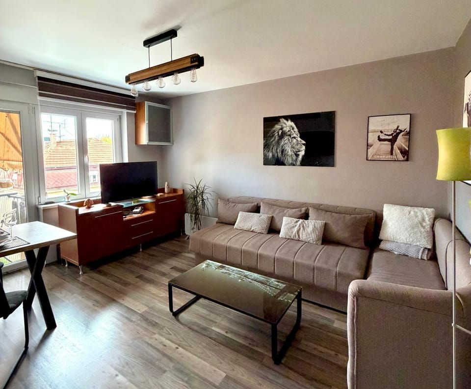 TV and multimedia, Balcony/Terrace, Living room, Dining area, heating, air conditioner