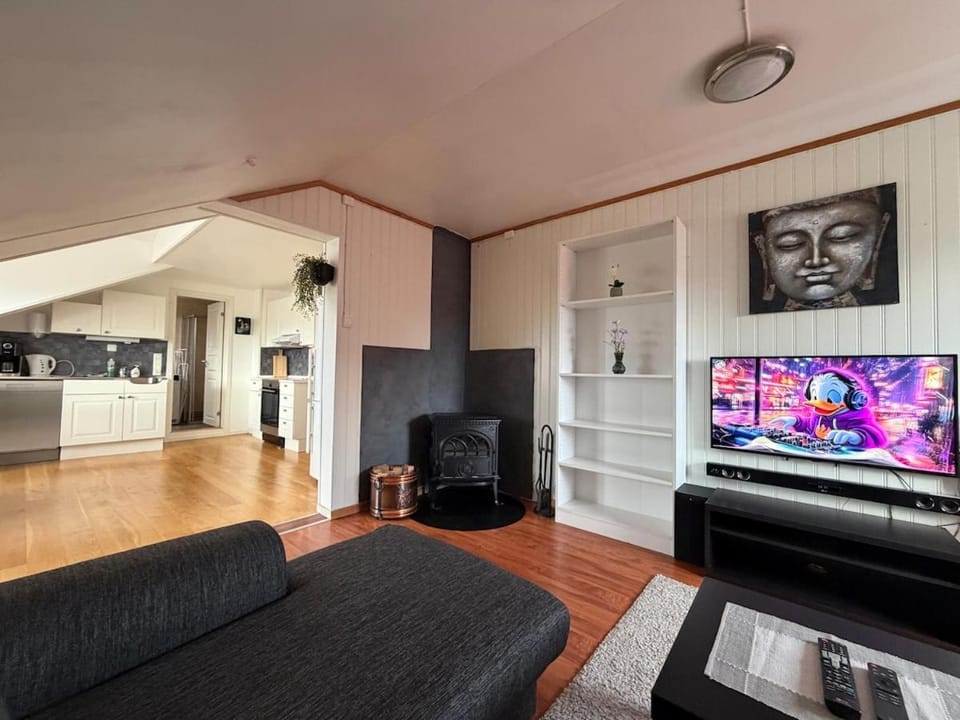 TV and multimedia, Living room, fireplace, kitchen