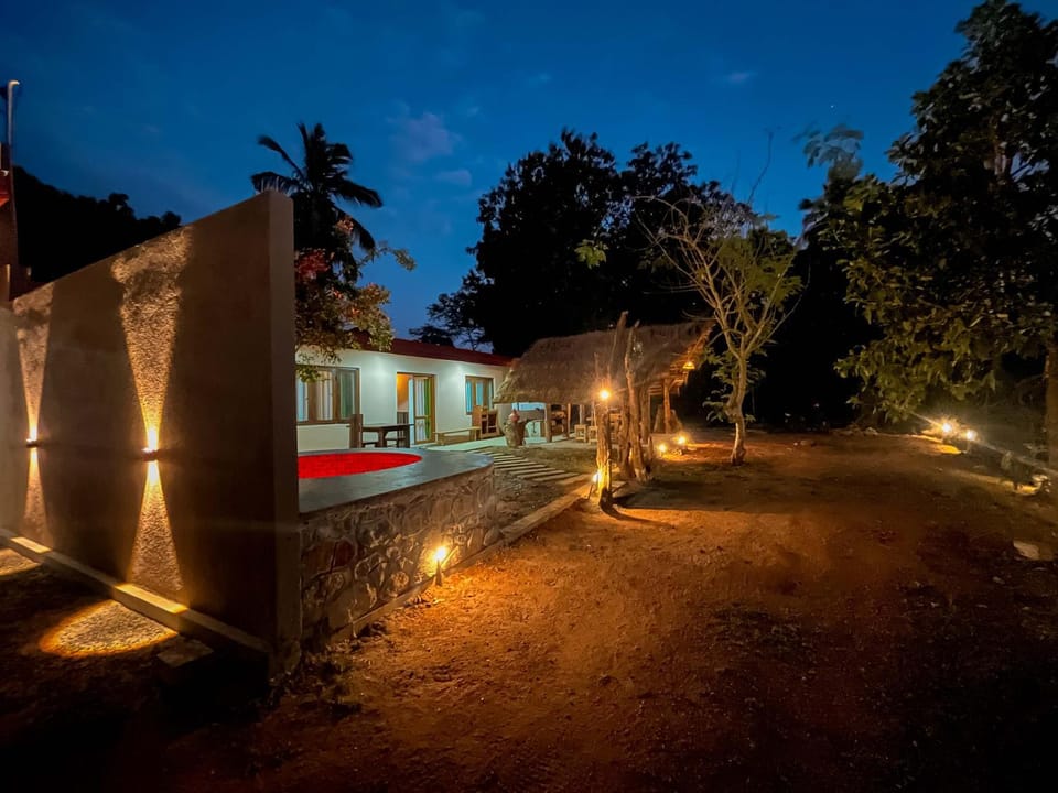 Property building, Night, Garden, Garden view
