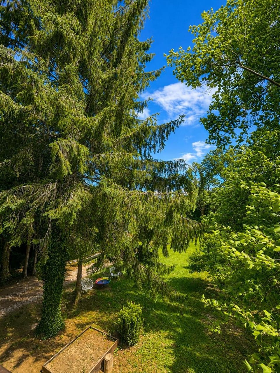 Day, Natural landscape, Garden, Garden view
