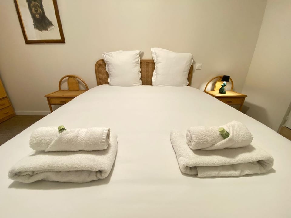 Les Chiens - Atypique T3 en Centre ville, Wifi Apartment in Occitanie