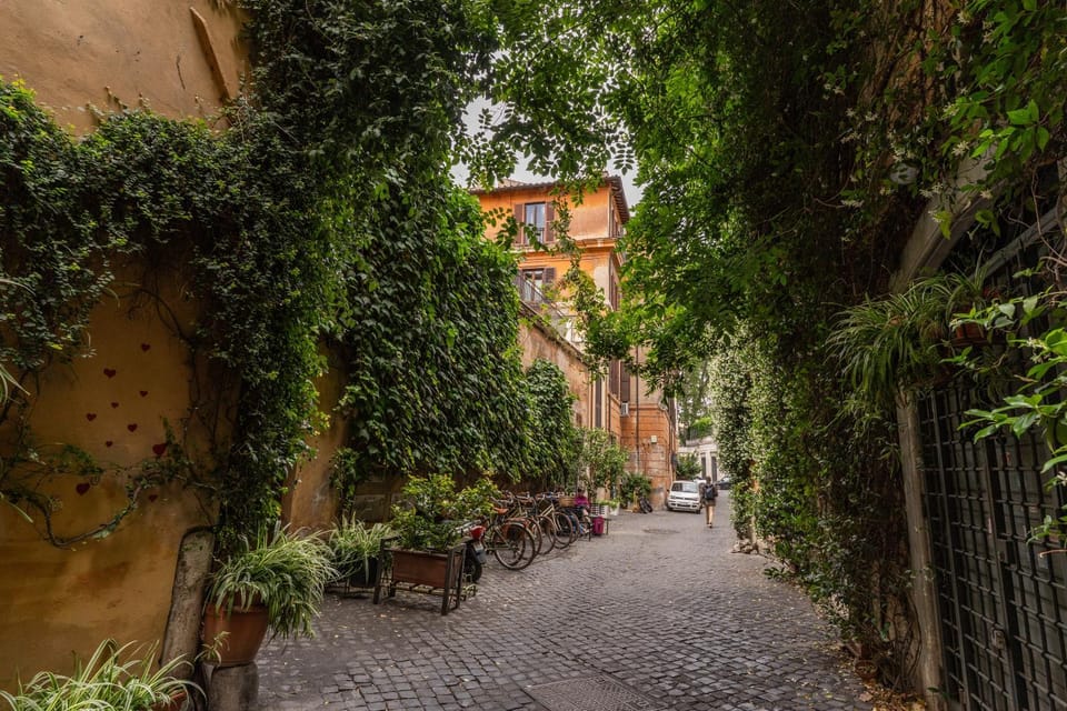 Neighbourhood, Quiet street view