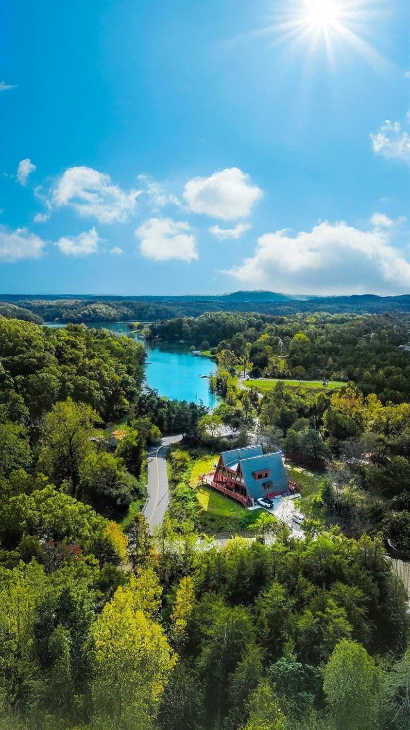 Lakeside A-Frame X2 Pickleball Hot Tub Sauna Chalet in Douglas Lake