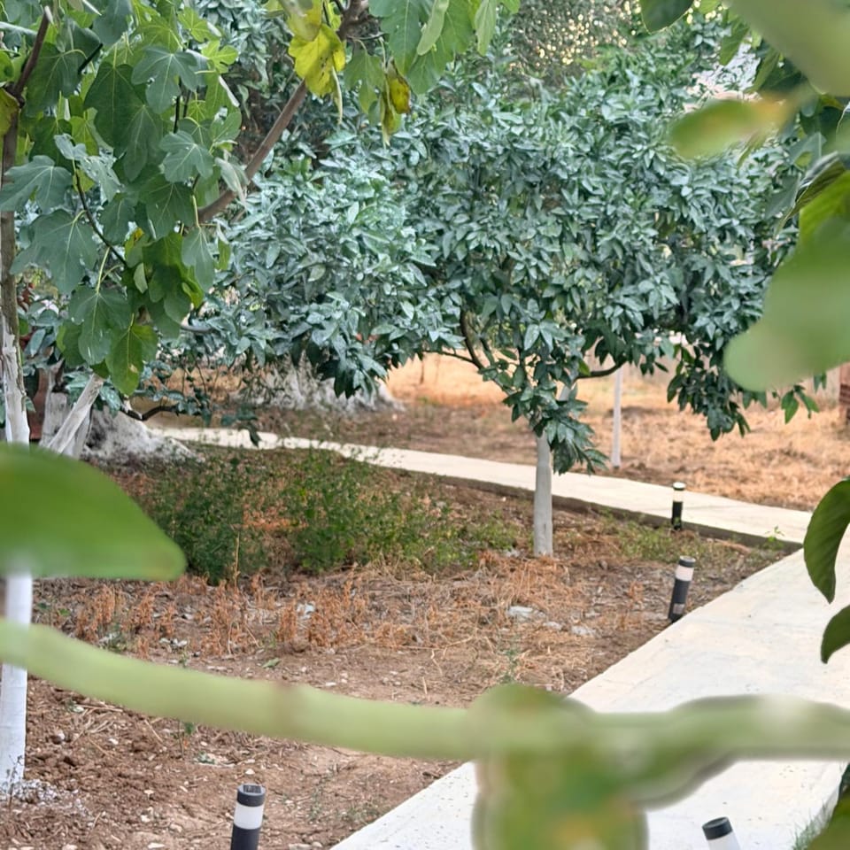 Olive Breeze Apartments Apartment in Vlorë County, Albania