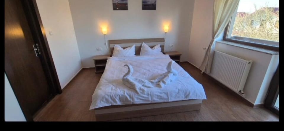 Pensiunea Baltica Bed and Breakfast in Constanța County