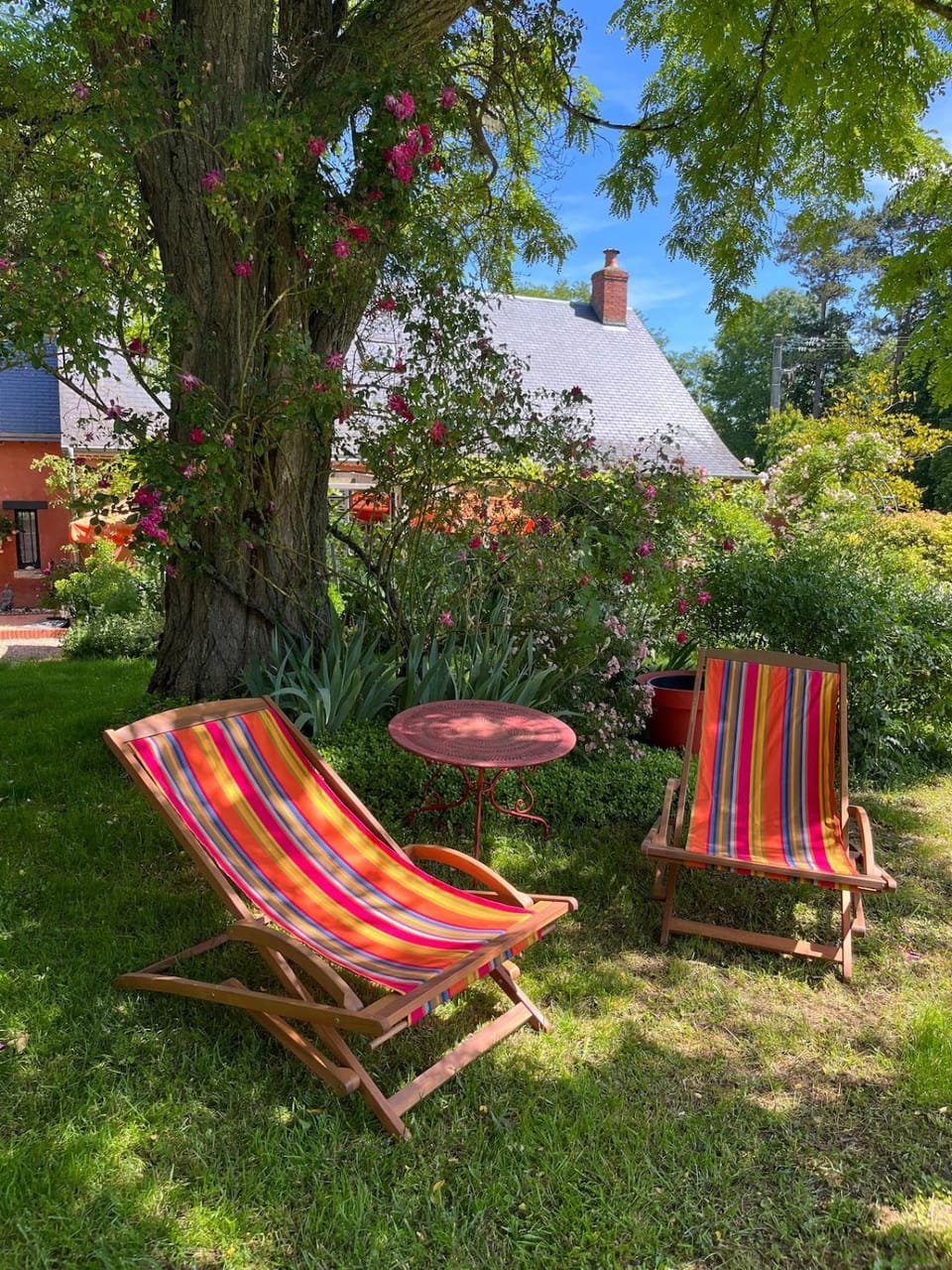 Garden view