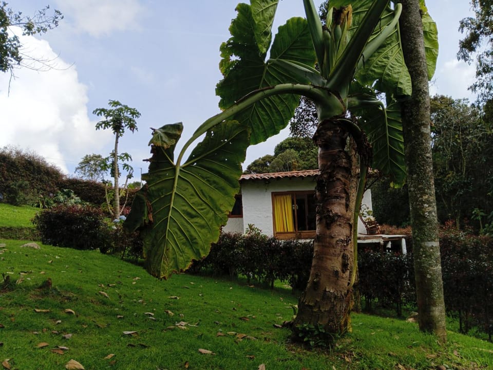 Alma de Acero House in Antioquia