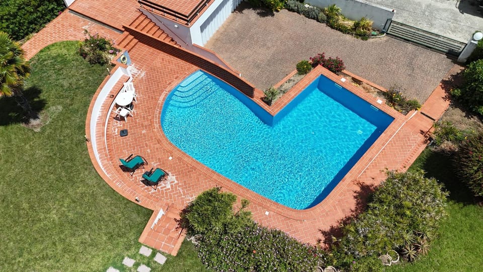 Spring, Day, Bird's eye view, Garden, Garden view, Pool view, sunbed