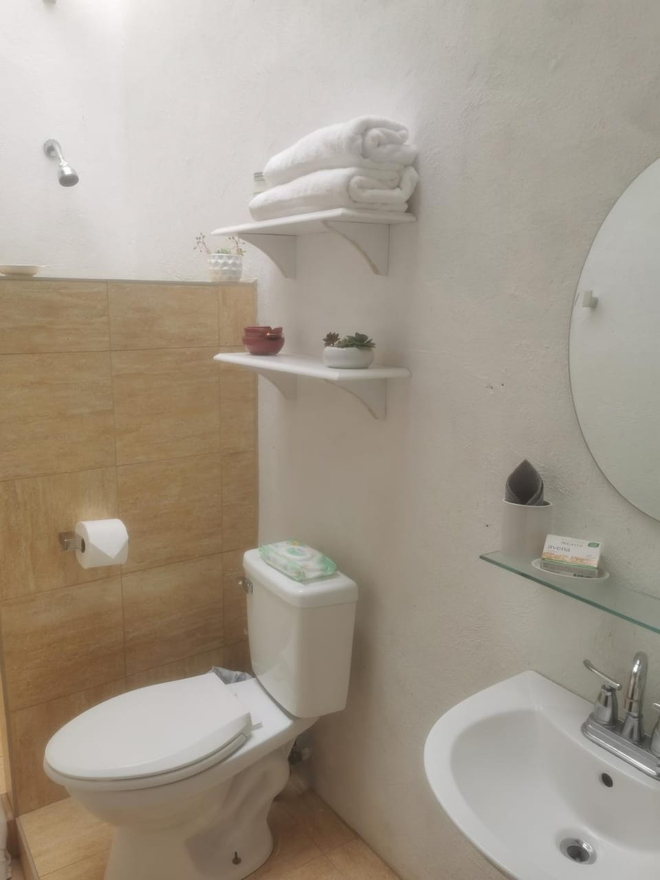 Cloud Forest Casitas Apartment in Los Naranjos