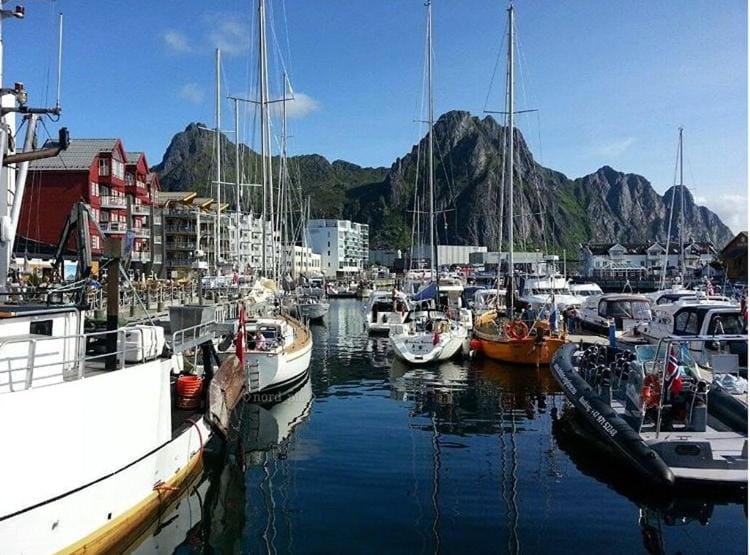 Cozy little apartment and magnificent nature Apartment in Lofoten