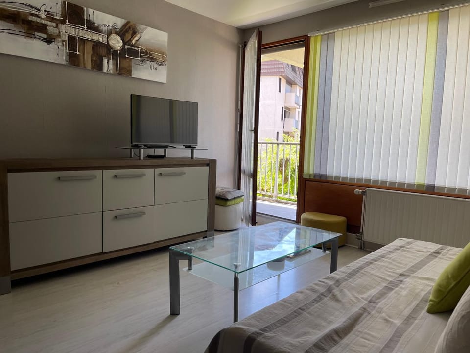 Studio proche centre Annecy Apartment in Haute-Savoie