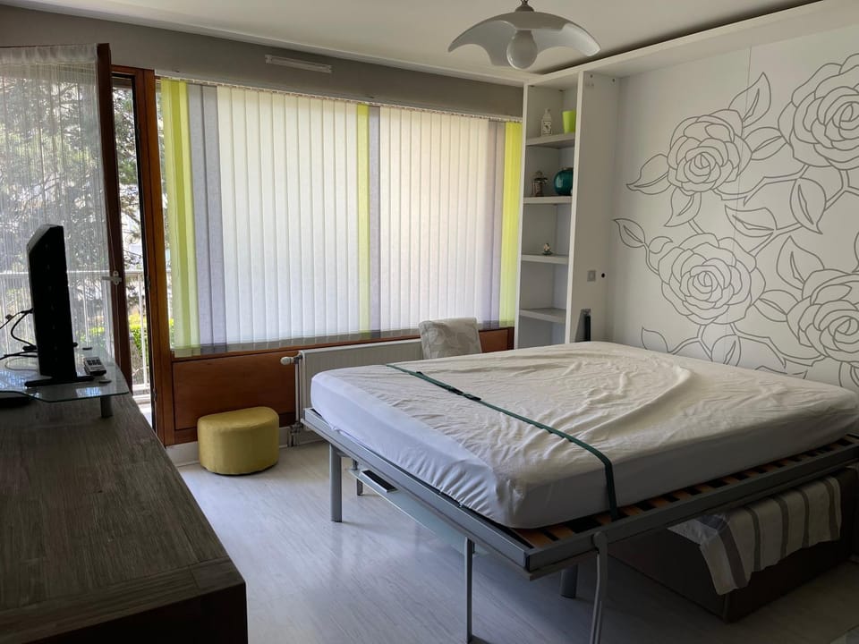 Studio proche centre Annecy Apartment in Haute-Savoie
