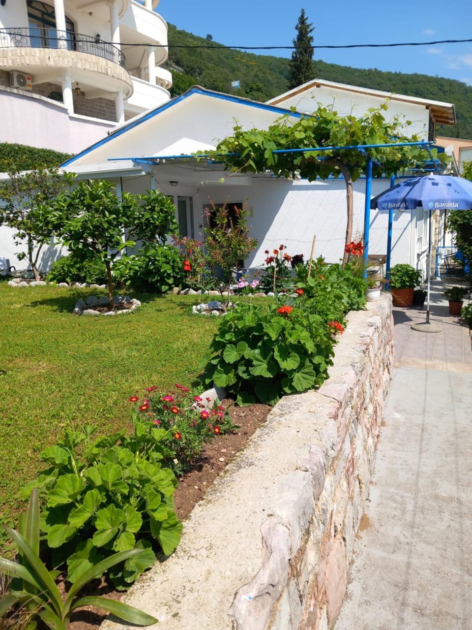 Misho Vacation rental in Budva Municipality