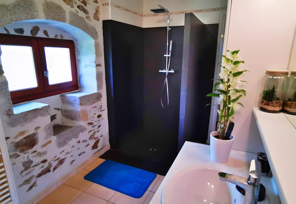 Bathroom, Living room