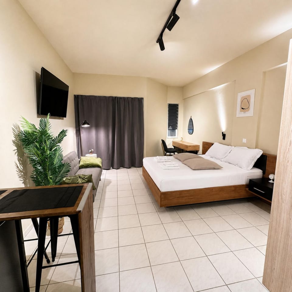 Bed, TV and multimedia, Living room, Photo of the whole room, Seating area, Bedroom