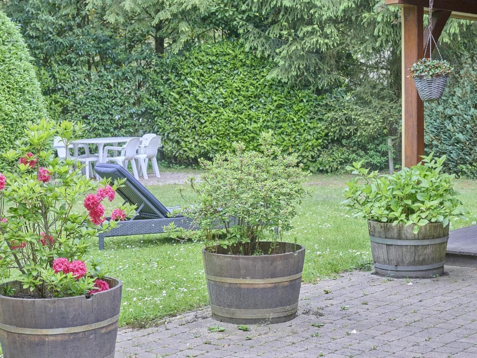 Summer, Garden
