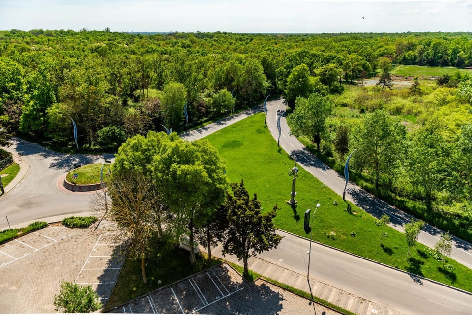 Day, Natural landscape, Bird's eye view, Street view