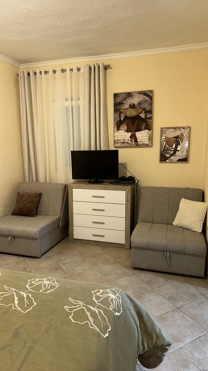 Tomanovic Apartment in Kotor Municipality