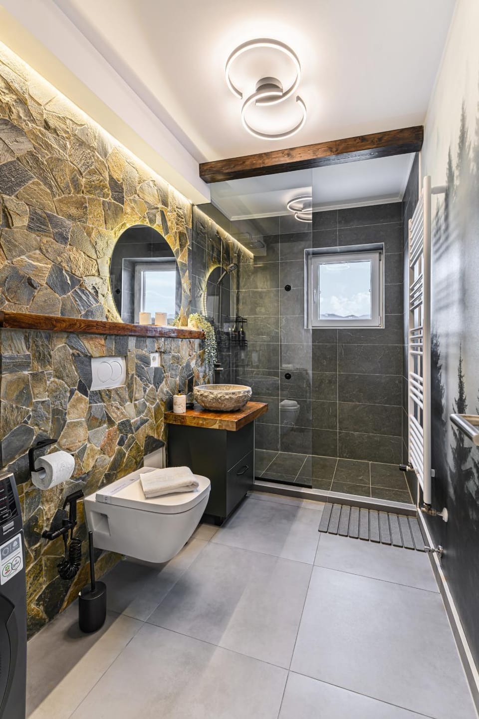 Shower, Toilet, Bathroom, Mountain view, towels, washing machine, washing machine