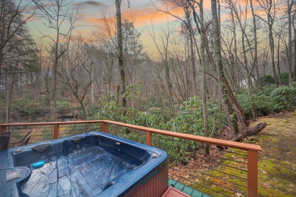 Little Timber Creek Cabin Cabin in Watauga