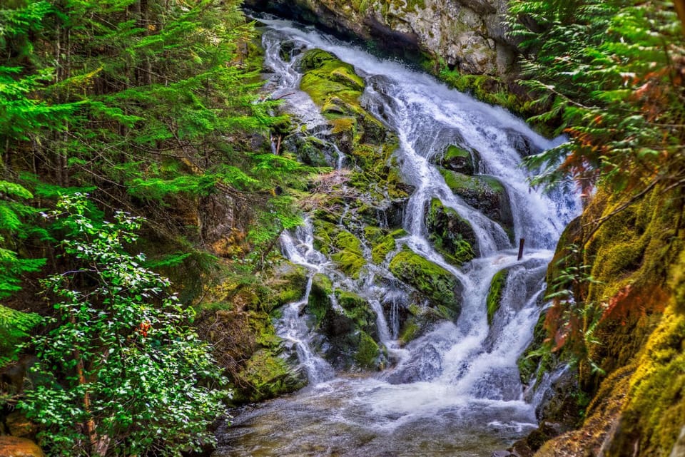 Natural landscape