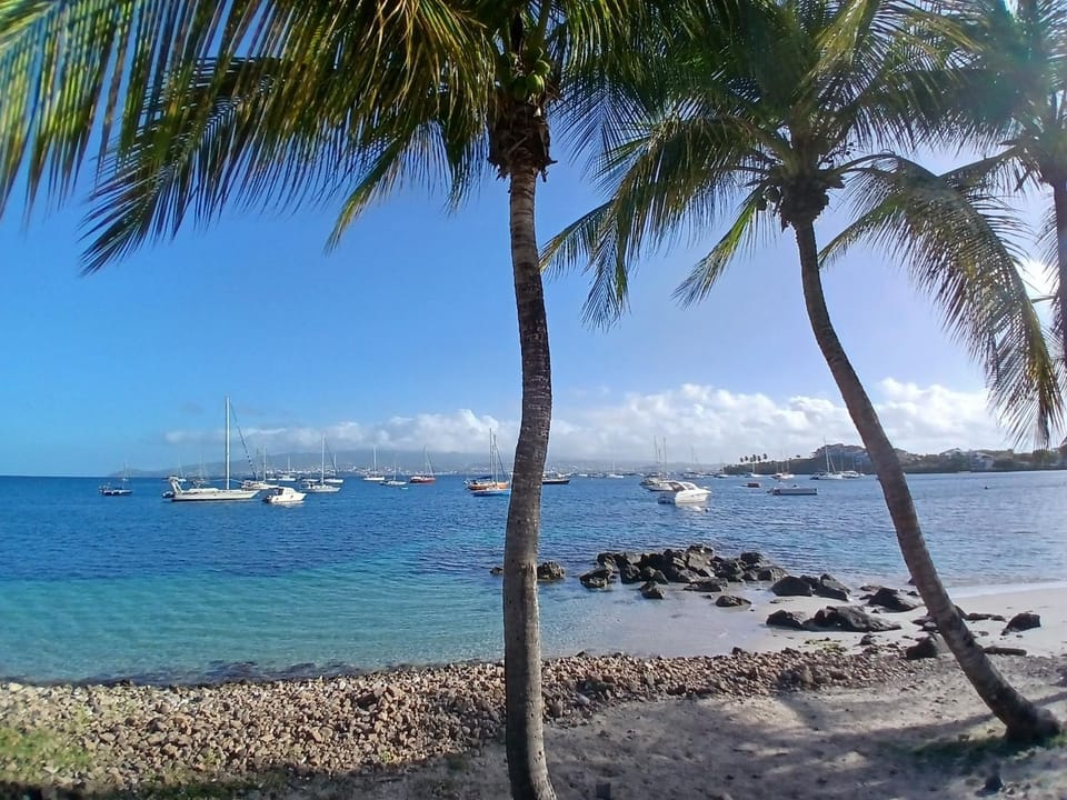 Nearby landmark, Beach, Sea view