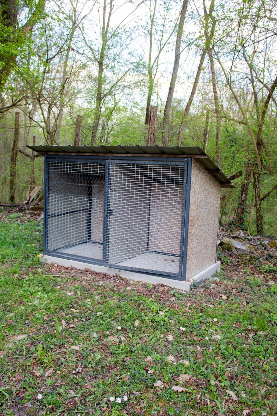 Jelen House in Vojvodina