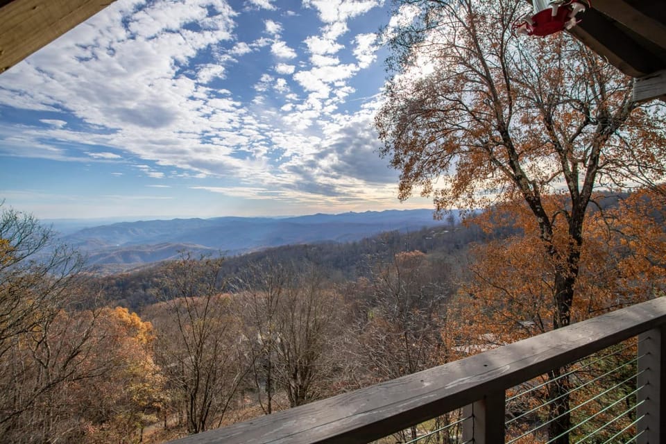 Out On A Limb House in Watauga