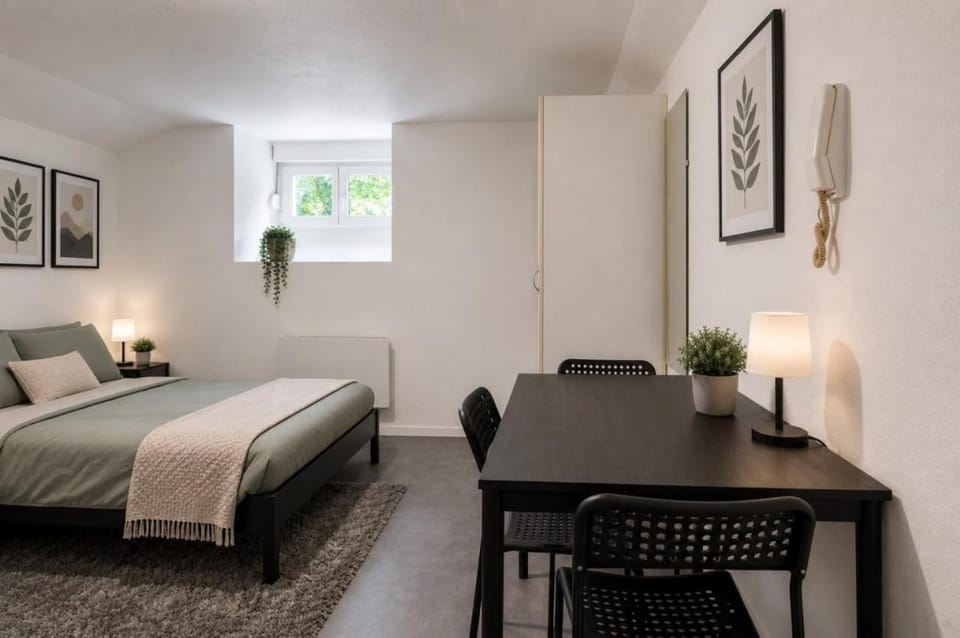 DeLuxe Studio, Naturellement Frais, Parking Privé Gratuit, MULHOUSE CENTRE Apartment in Mulhouse