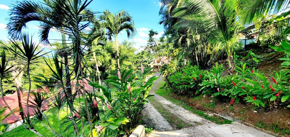 Natural landscape, Garden, Garden view