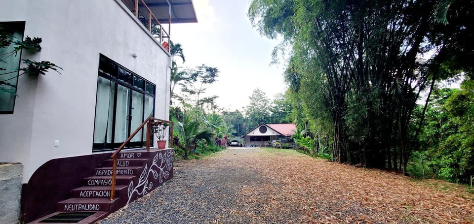 Property building, Garden, Garden view