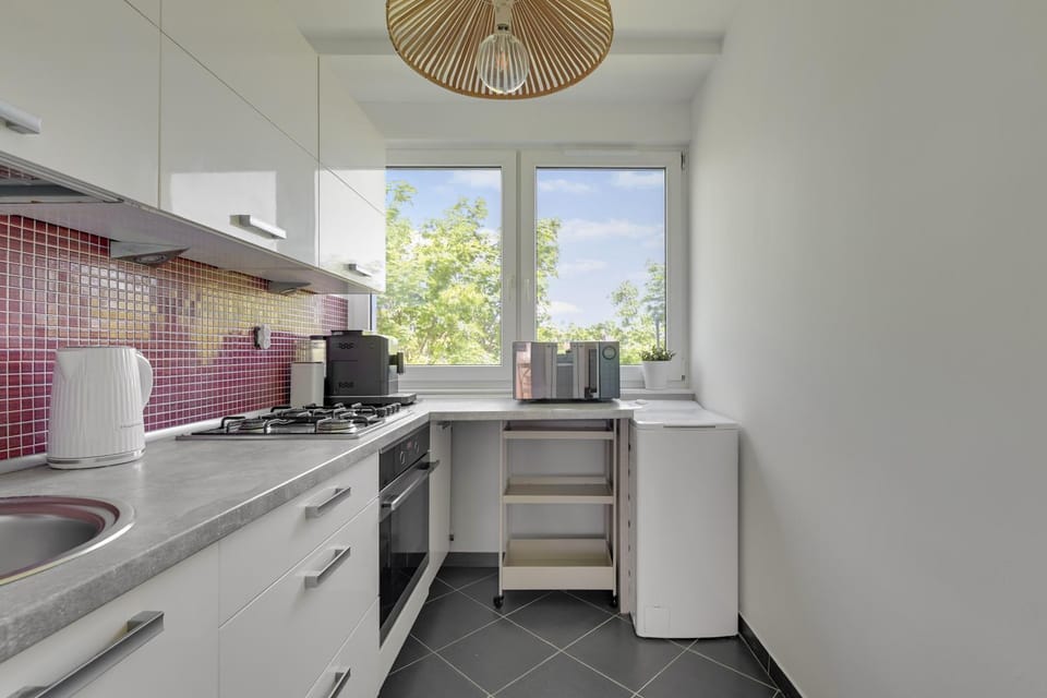 dishwasher, oven, stove