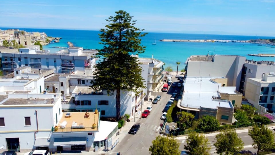 Property building, Neighbourhood, Bird's eye view, Beach