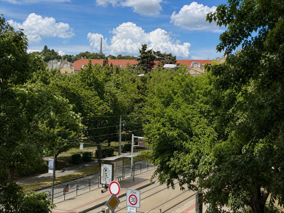 View (from property/room)