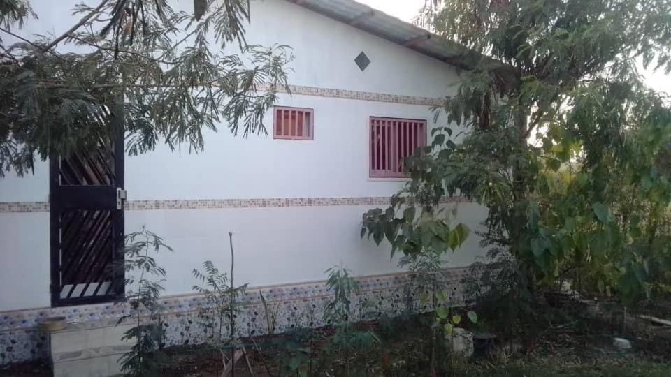Property building, Garden, Garden view