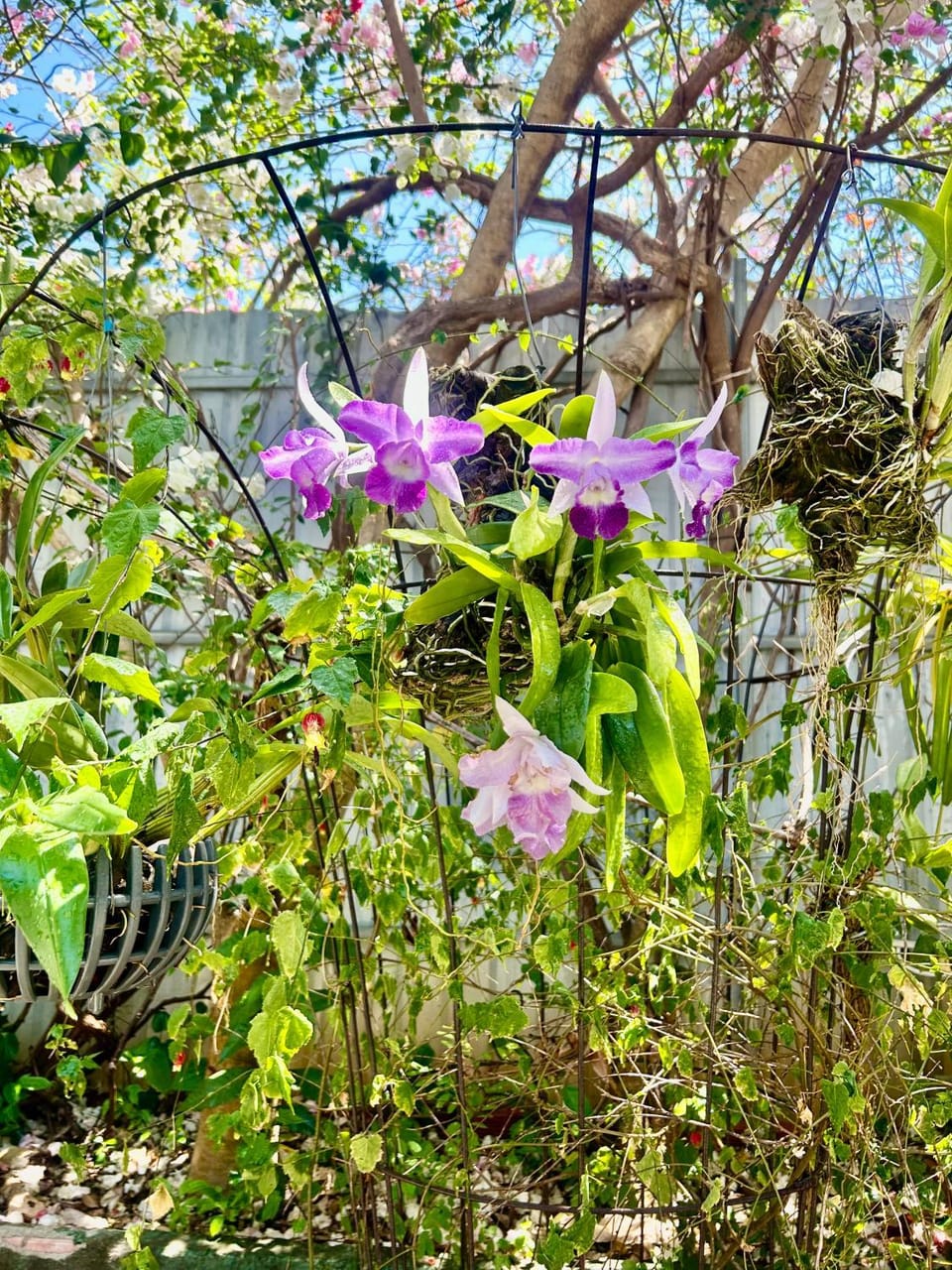 Homestay XANH XANH Bed and Breakfast in Vung Tau